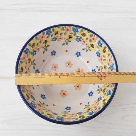 新品　ポーランド 食器　12cm サラダボウル　ツェラミカ アルティスティチナ